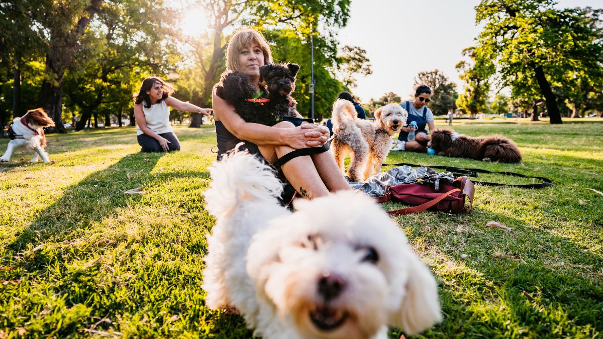Tips for Keeping Your Dog Safe and Healthy at the Dog Park